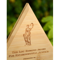 close up of high resolution engraved award