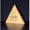 2 color paint filled engraving triangle bamboo award