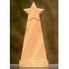 star award made from bamboo with space for personalized engraving